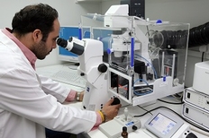 Molecular Genetics, Function & Therapy Department